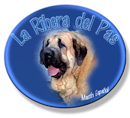 Ir a la pagina de inicio